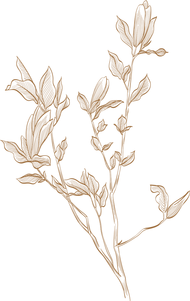 Hand Drawn Branch of Brown Flower Element.